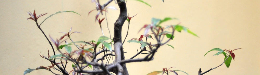 Mundane everyday crap